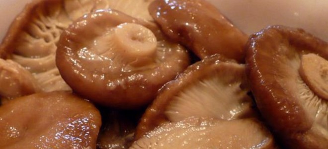 Как засолить горькушки быстро