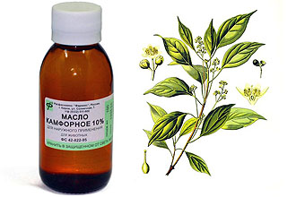 Камфорное масло Камфорное масло