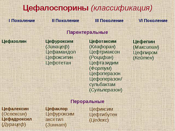 Цефалоспорины Цефалоспорины