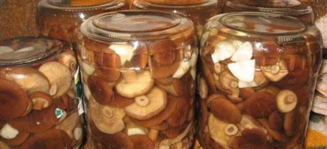 Маринад для горькушек