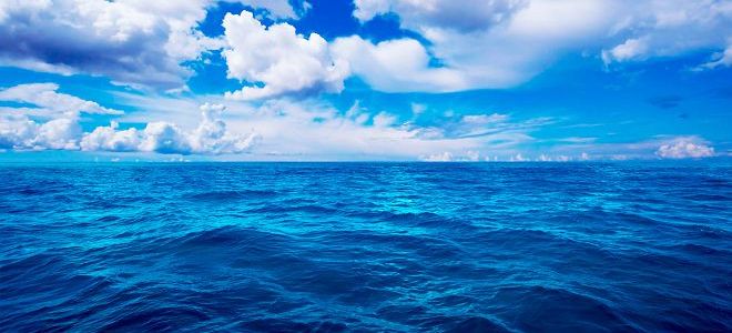 море во сне