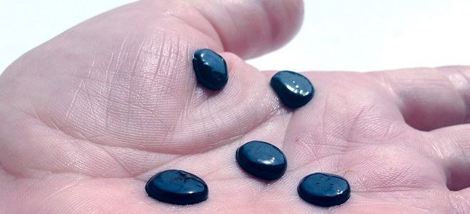 мумие состав