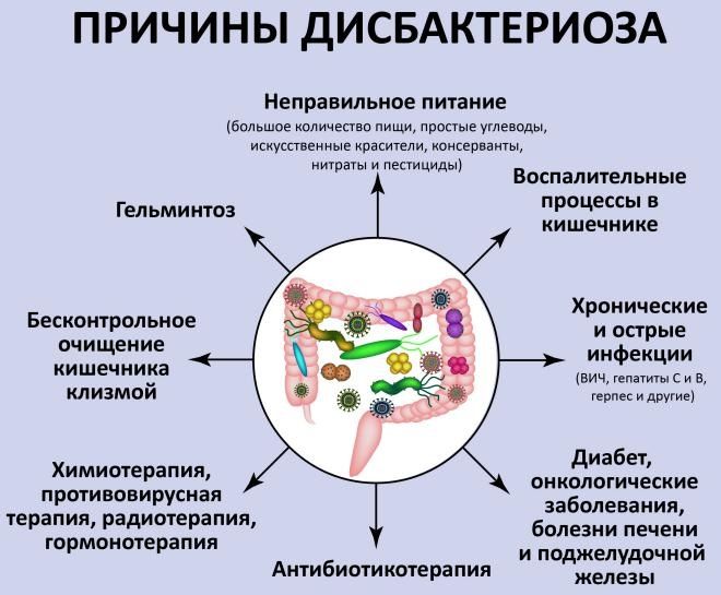почему появляется дисбактериоз