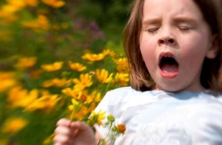 Очень часто причиной риносинусита у ребенка может быть аллергия Почему возникает риносинусит у детей