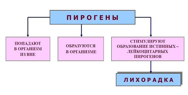 Пирогены Пирогены