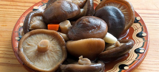 Соление горькушек холодным способом