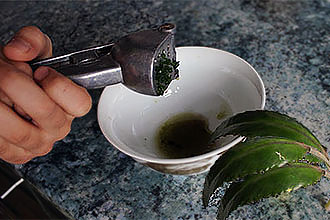 Выдавливаем сок каланхоэ для полоскания Сок каланхоэ