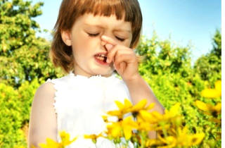 При аллергии на растения или пыльцу, кашель может сопровождаться ринитом или конъюнктивитом Аллергический кашель