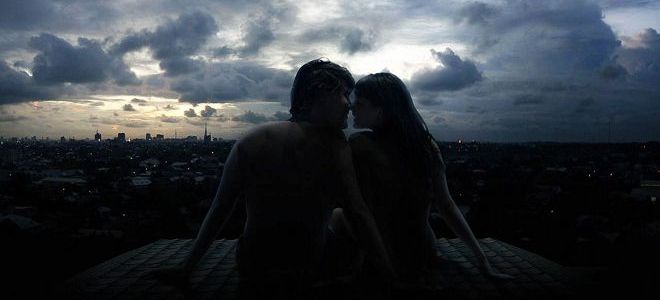 в чем особенности льва и стрельца